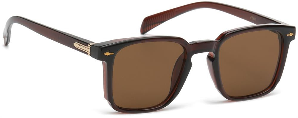 Kova - Urban Vibe Shades - Urban Vibe Studio