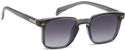 Kova - Urban Vibe Shades - Urban Vibe Studio