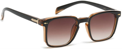 Kova - Urban Vibe Shades - Urban Vibe Studio