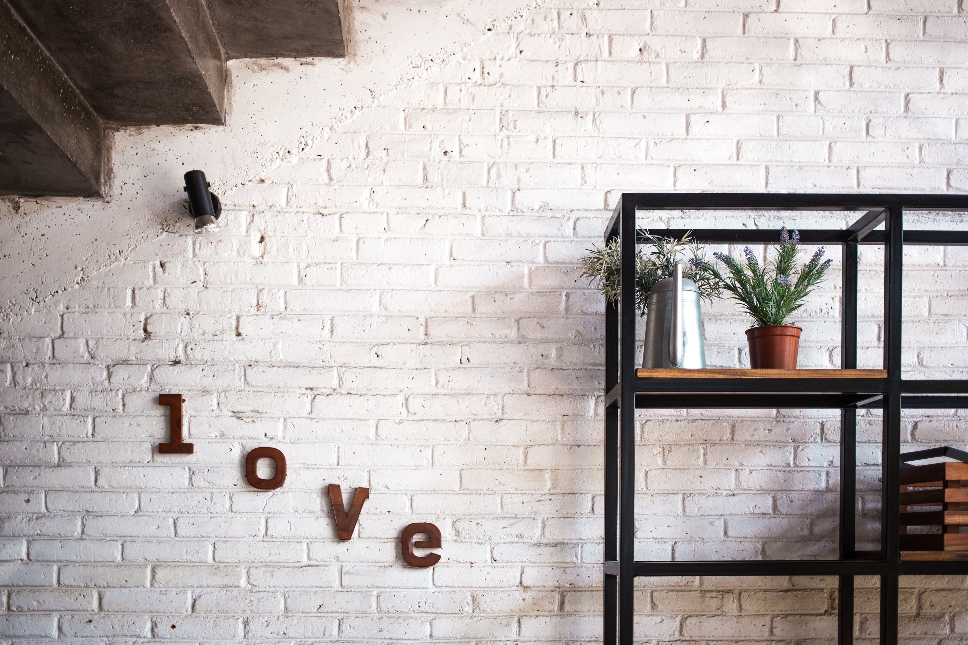 Buy Wall Art - NZ Made - Laser Cut